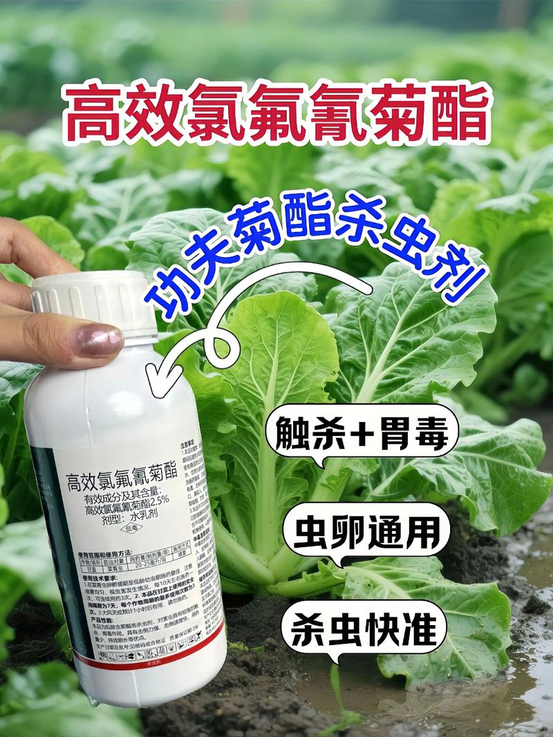 荣昌代生中心:农药对供卵代生妈妈的危害